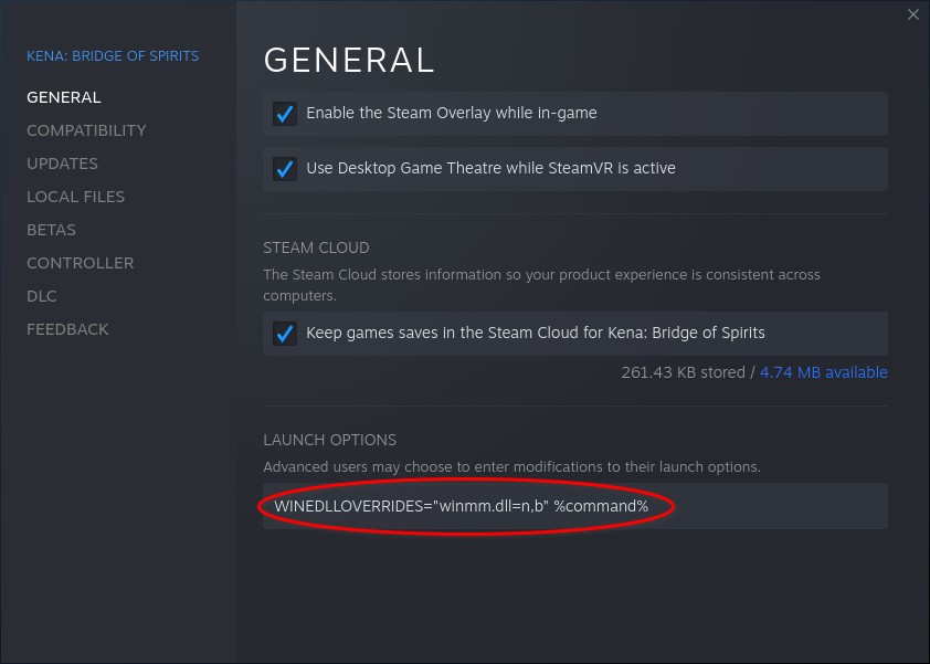 Adding winmm launch parameter