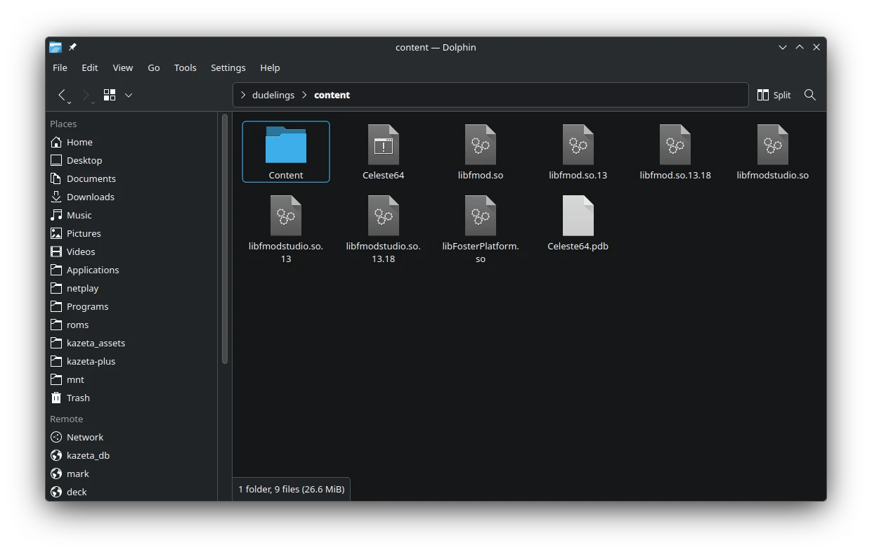 Celeste 64 cart - &ldquo;content&rdquo; folder