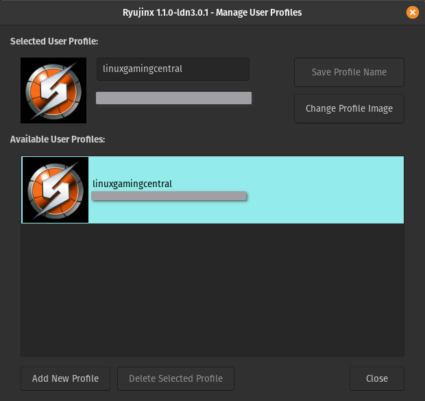 Ryujinx LDN configuring user profile