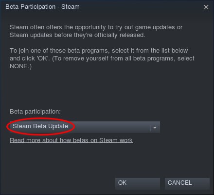 Steam opting into Beta branch
