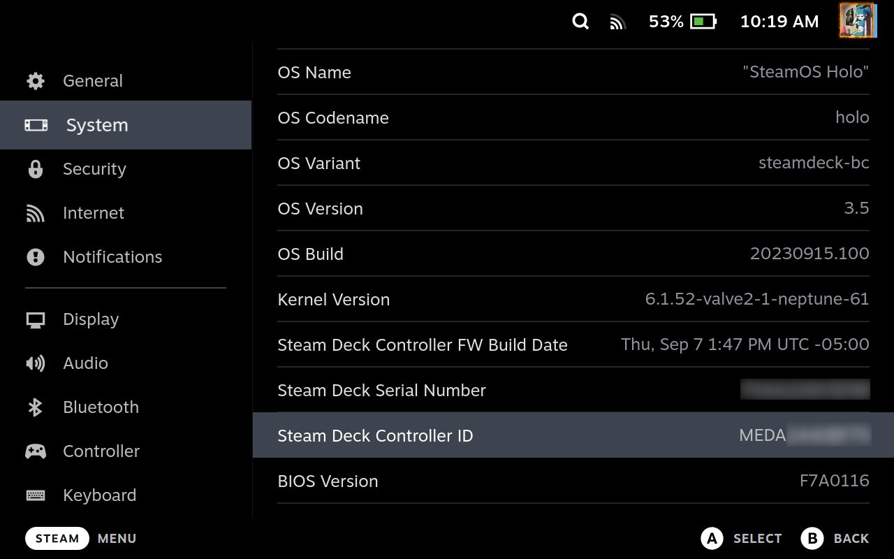 Steam Deck controller ID