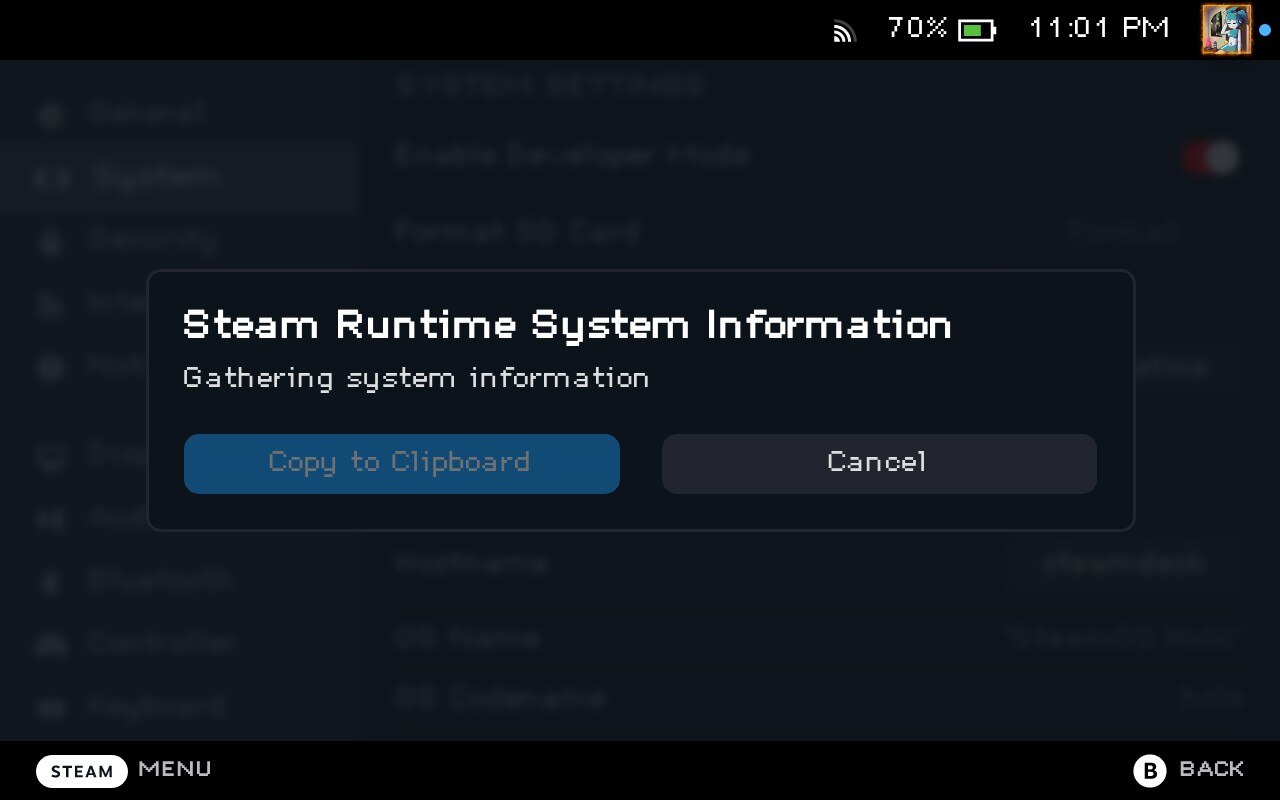 Steam runtime info