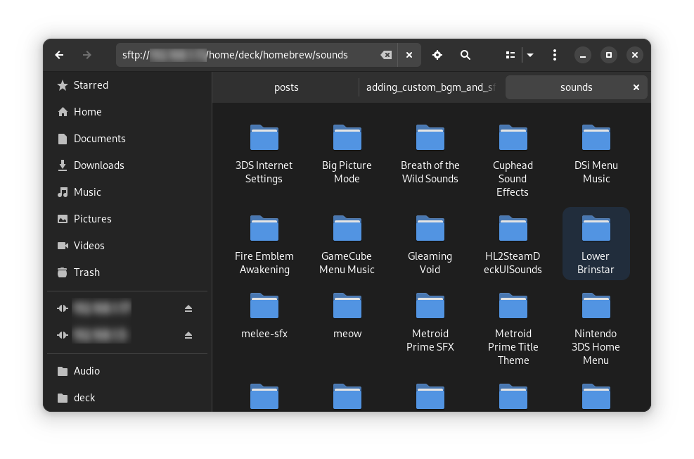 Lower Brinstar folder in ~/homebrew/sounds/