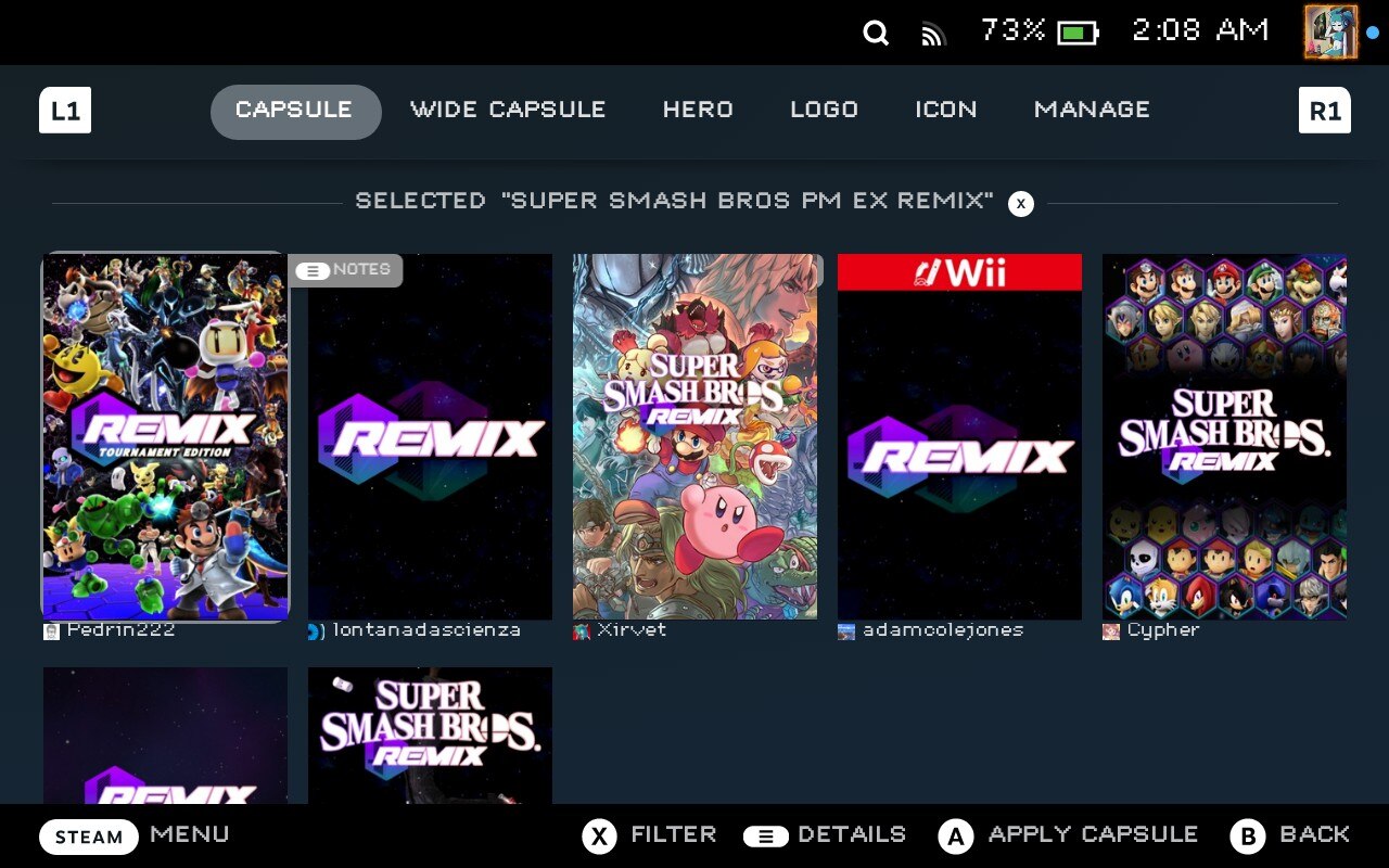 PM EX Remix artwork from SteamGridDB