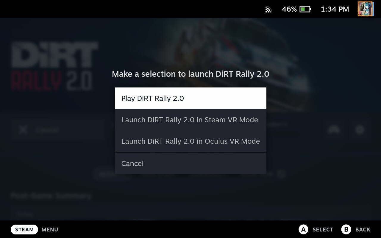 Dirt Rally 2.0 launch options